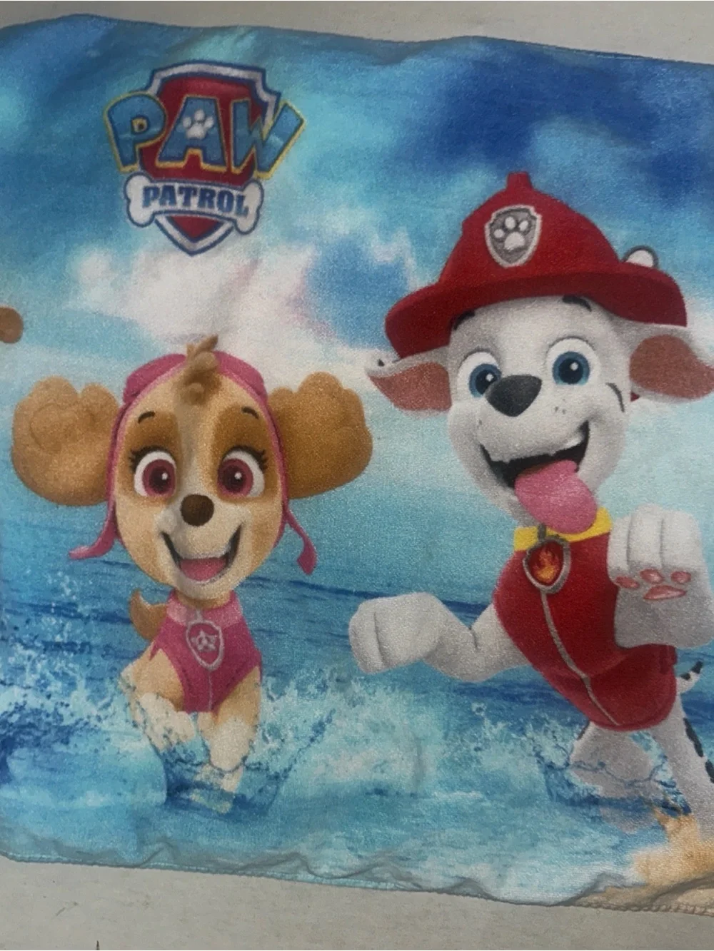 Paw Patrol Blue and Pink Skye Kids Towel